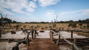 A walk way and view of the horizon at a lodge in the Moremi