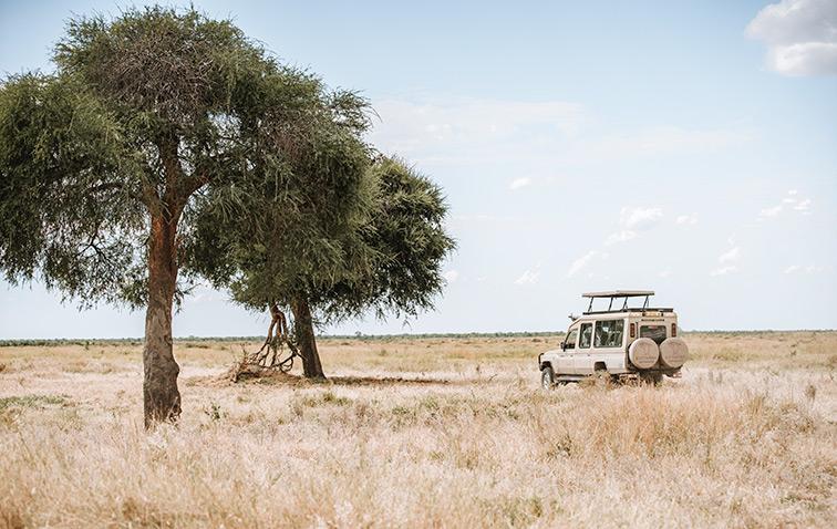 Game drive in the Savuti Region in Botswana