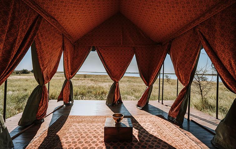 View from the Jack's Camp tent deck