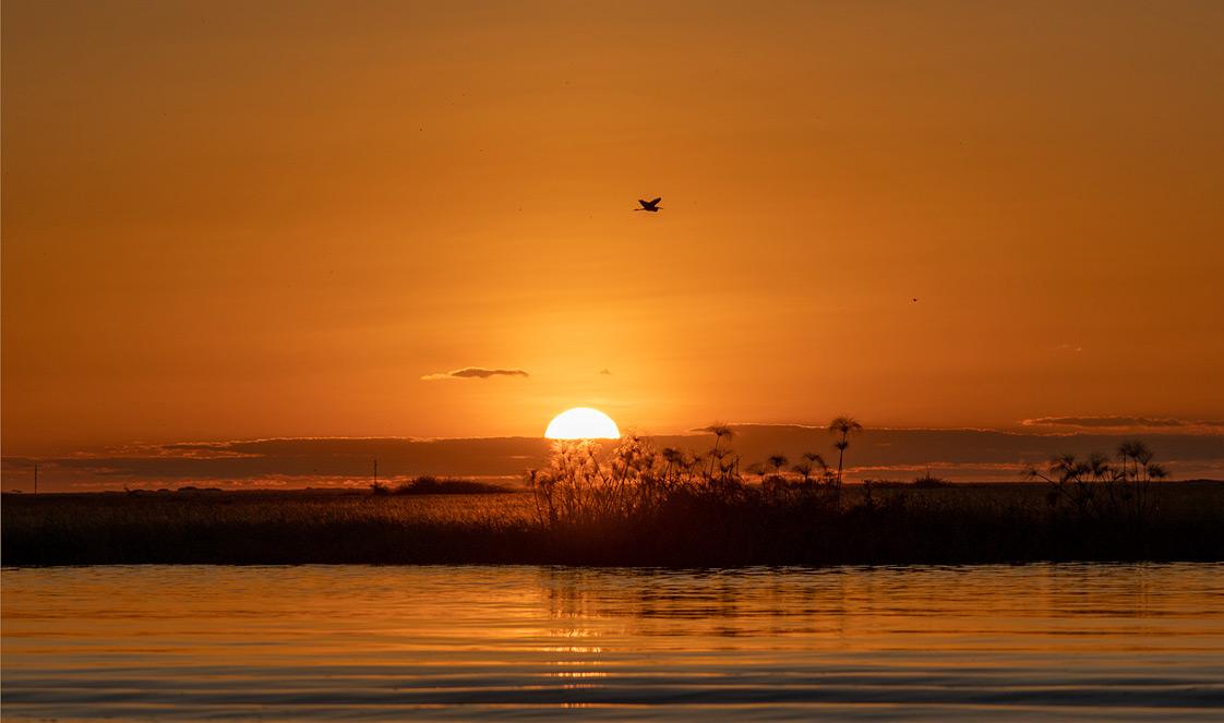 Botswana Fun Facts Culture Wildlife And Natural Wonders Botswana