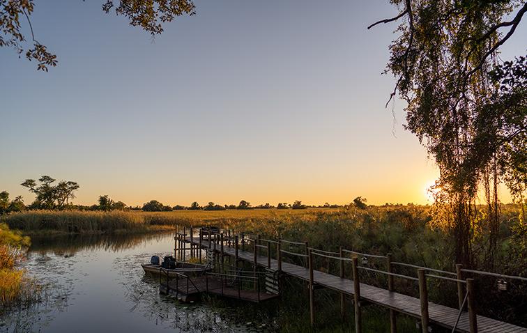 safari botswana luxury