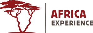 Africa Experience logo