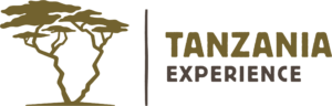 Tanzania-Experience