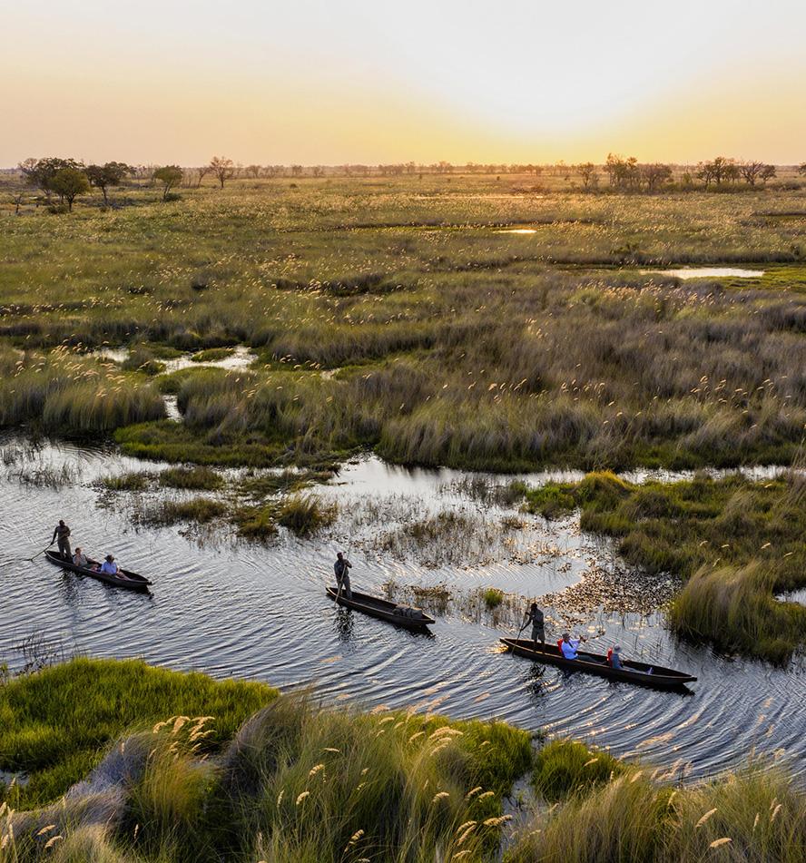 Okavango Delta