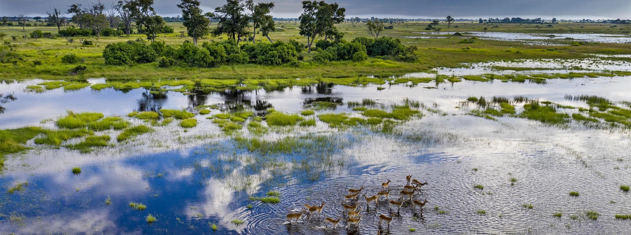 Heavenly Botswana 12 day luxury safari