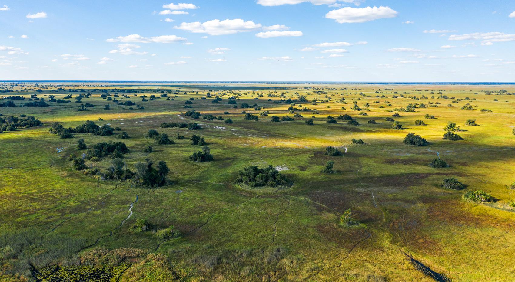 Blick aus der Vogelperspektive auf das Okavango-Delta. Blick aus der Vogelperspektive auf das Okavango-Delta.