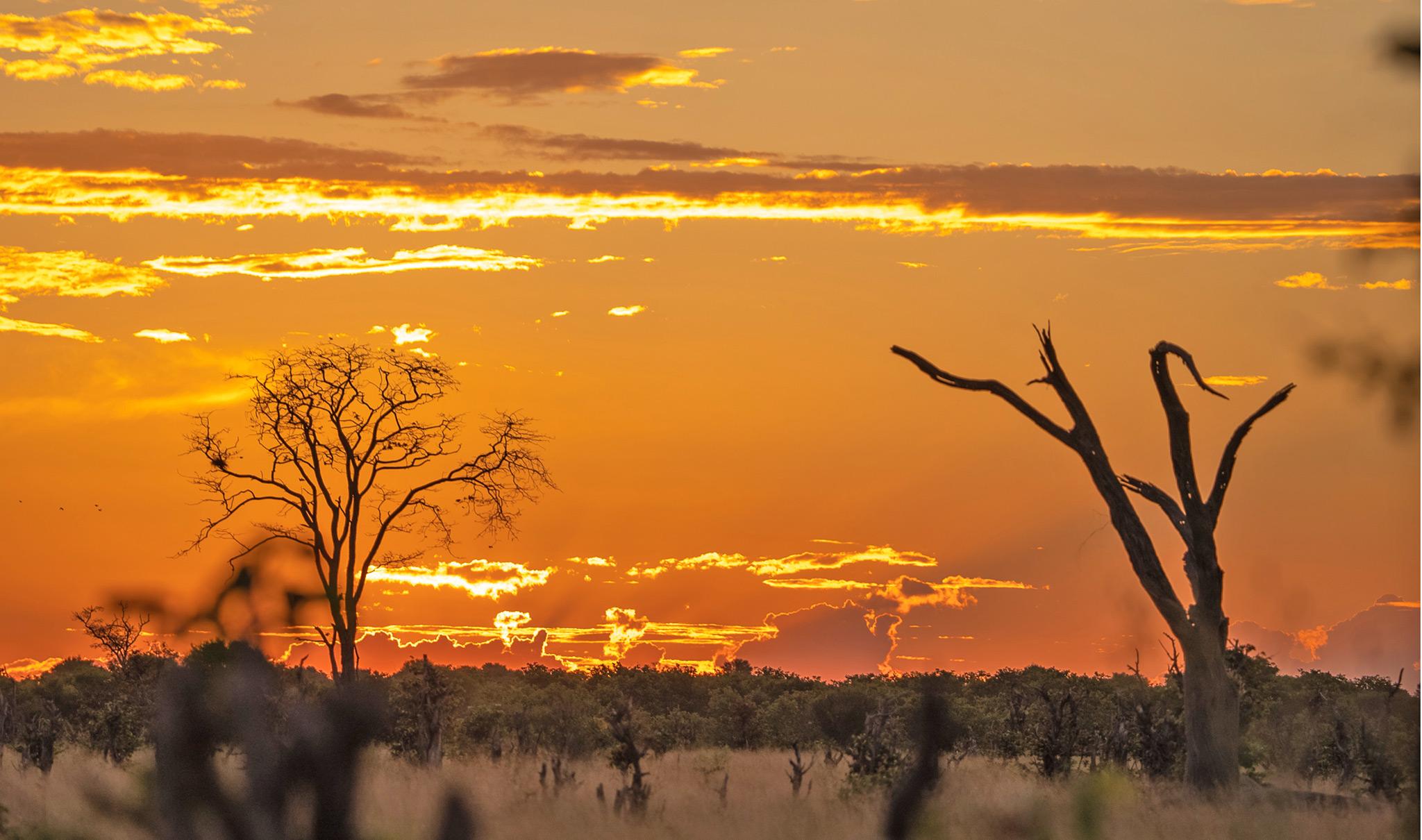 A landscape photo taken in Savuti, Botswana at sunset.