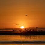 Sunset on the Chobe River with a dramatically orange sky.