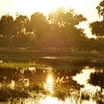 Marshland at sunset in the Blue Lagoon National Park in Zambia.