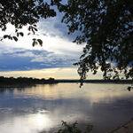 Views of the Zambezi River in the evening light.