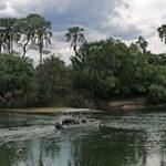 A boat on the Kafue River with trees and shrubs in the background.
