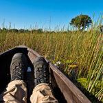 The feet of a person sitting in a traditional mokoro canoe.