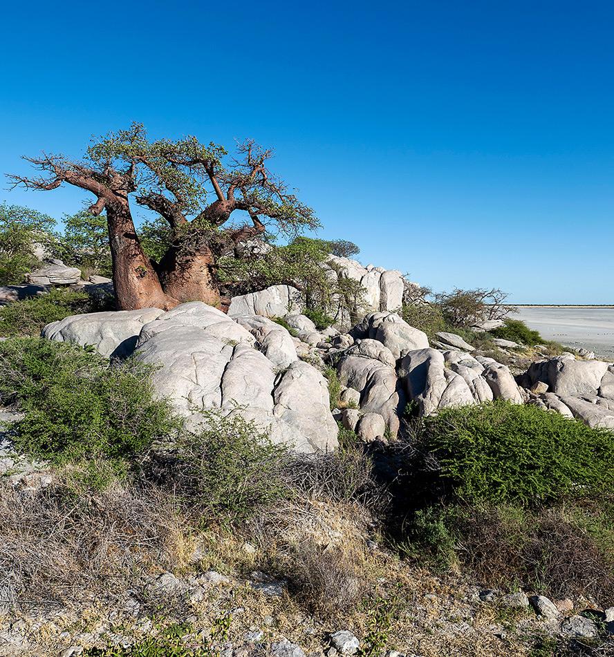 Makgadikgadi & Nxai Pans