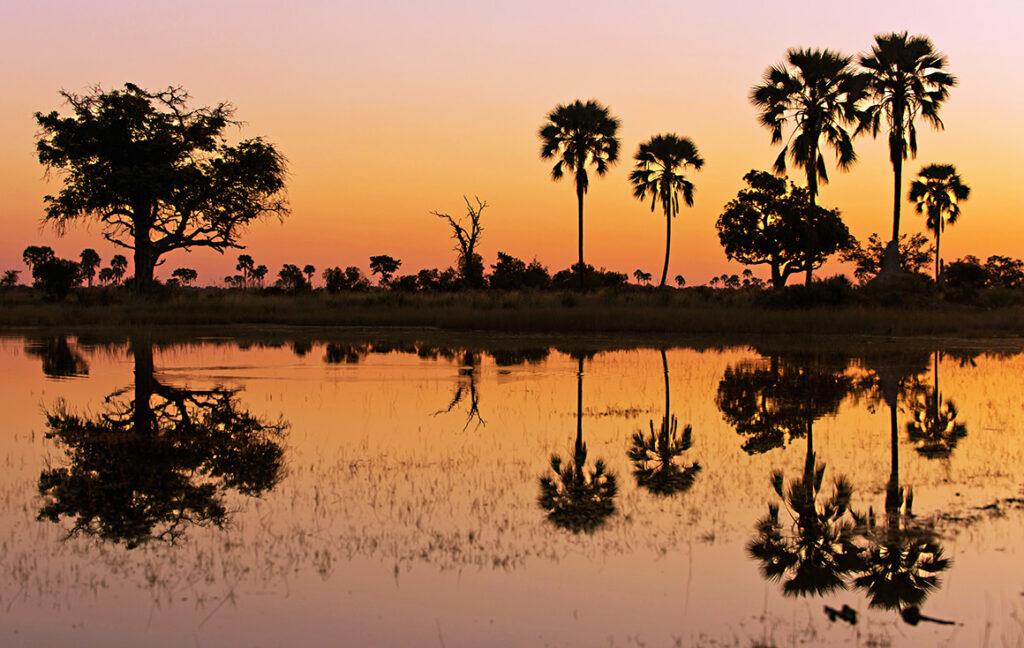 Floodplains in Zambia at sunset with palm trees on the horizon.