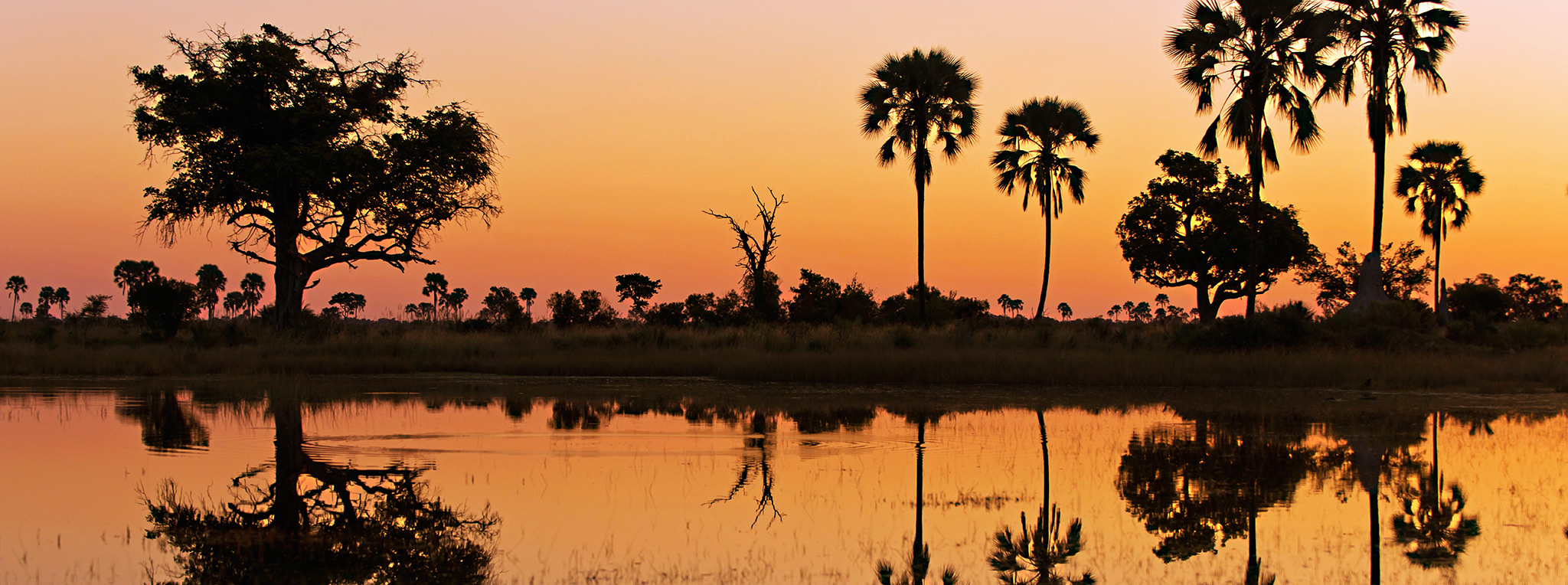 Floodplains in Zambia at sunset with palm trees on the horizon.