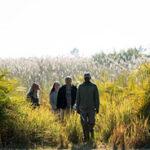 A walking safari from Setari Camp in the Okavango Delta