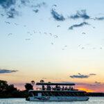 Flußfahrt auf dem Sambesi zum Sonnenuntergang