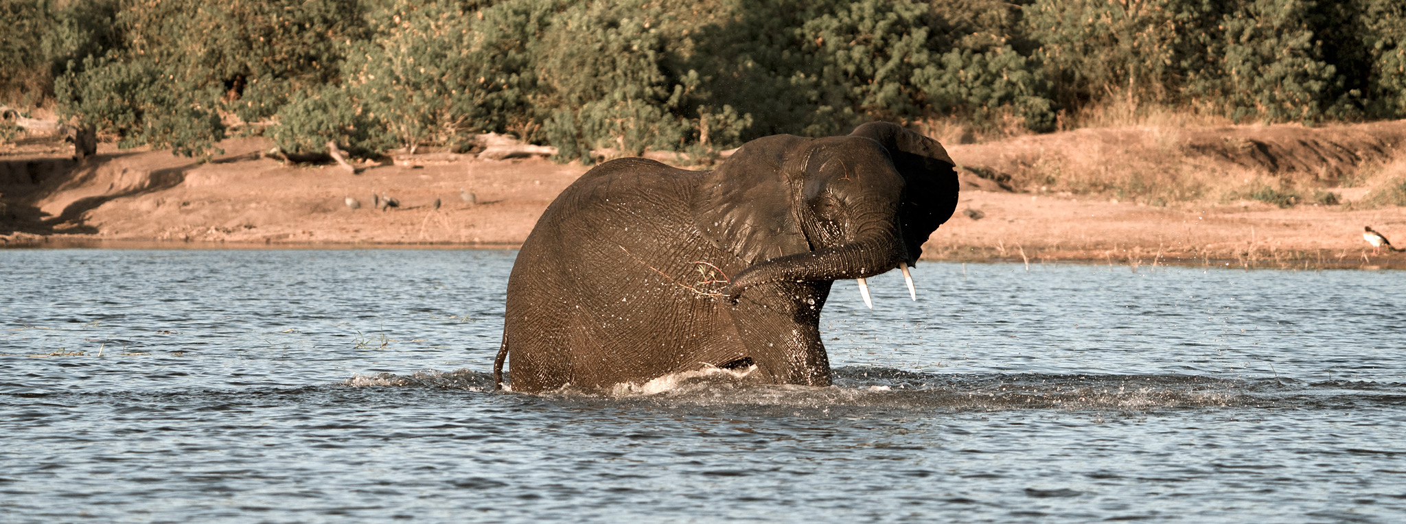 Botswana und Simbabwe Kleinstgruppen Safari