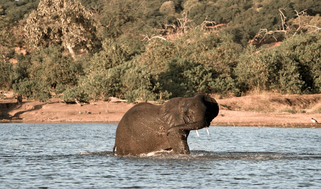 Botswana and Simbabwe Group Safari