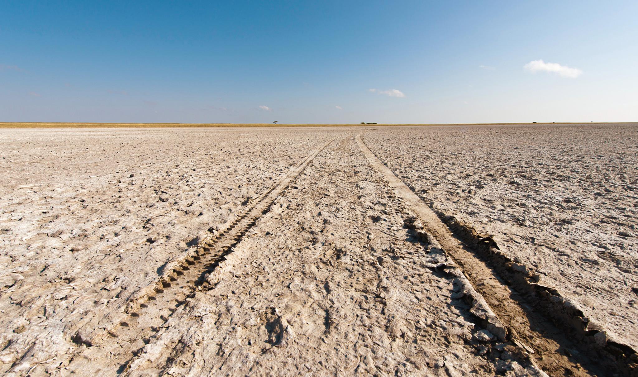 Vehicle tracks in the sand in Namibia - driving in Namibia can be challenging.
