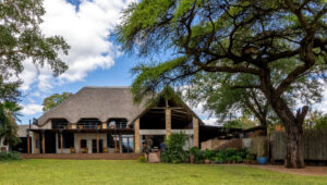 Chobe River Lodge is situated beneath a large tree, with a lush green lawn in the foreground.