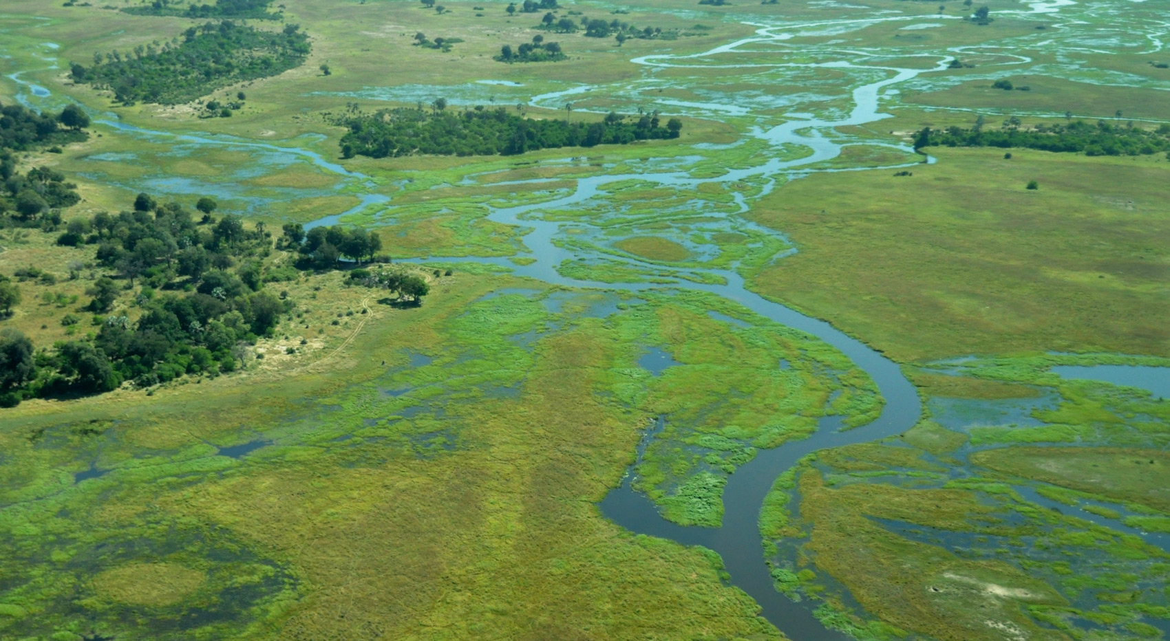 A birdseye photo of the Okavango Delta. A birdseye photo of the Okavango Delta.