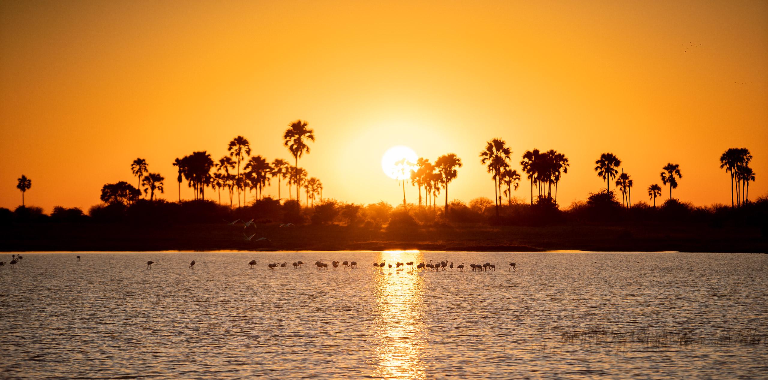 The sun sets on the horizon in the flooded Makgadikgadi Pans as seen on a Botswana safari.