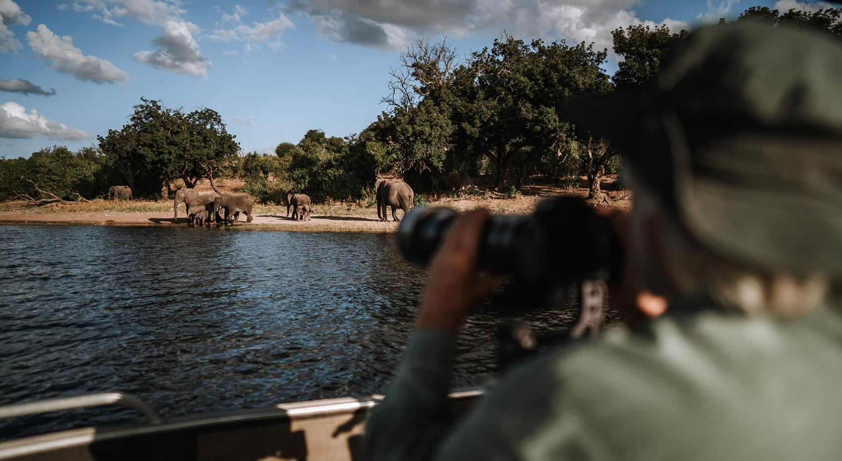 A guest watching elephants on the banks of the Chobe River through binoculars.