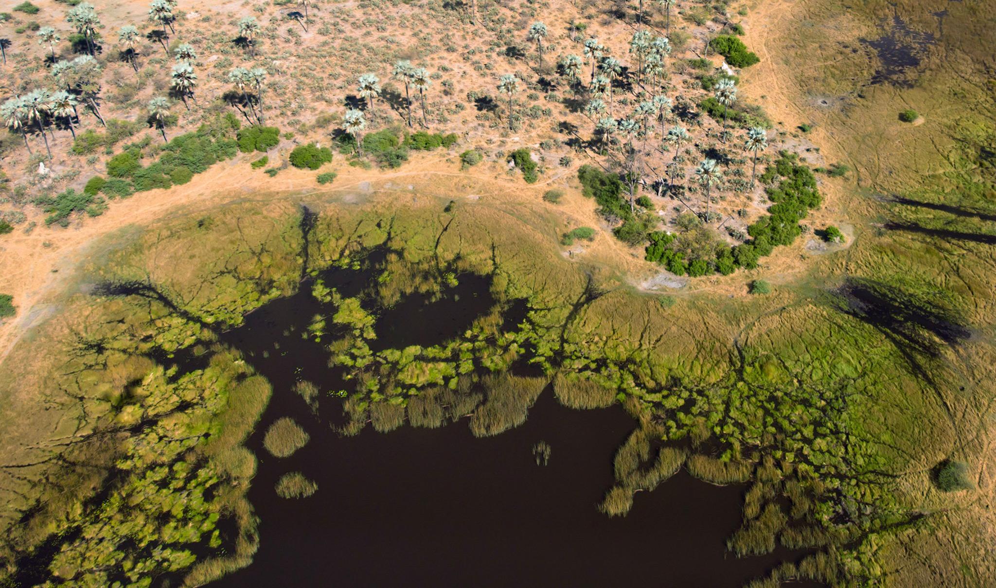 Airial photograph of the Okanvango Delta