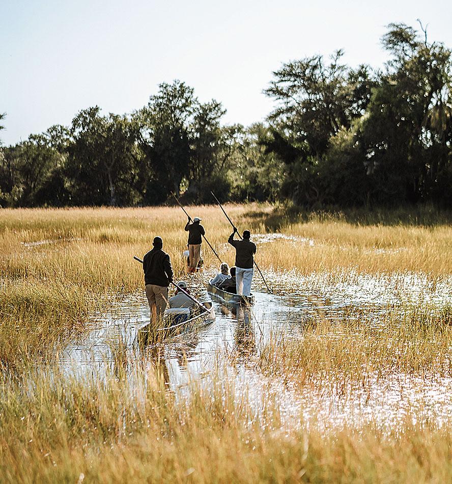 Okavango Panhandle
