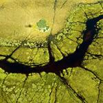 Aerial Waterways at Okavango Delta