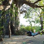 Entspannen unter Bäumen im Planet Baobab