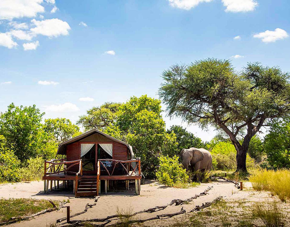 Tented Camp Savuti