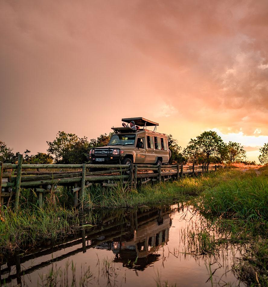 Khwai Area & Moremi Game Reserve