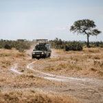 Game Drive in Savuti region