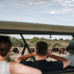 Guest experience in open roof vehicle