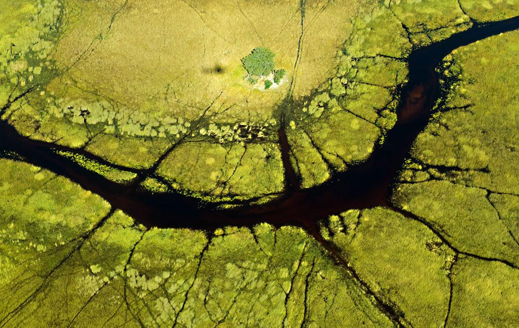 Waterways at Okavango Delta in Botswana