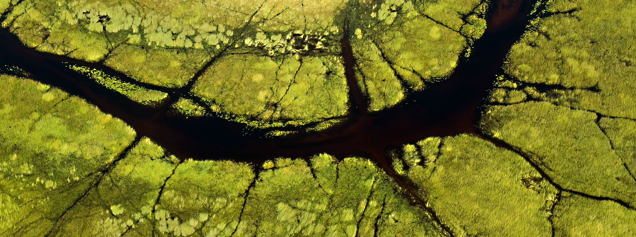 Waterways at Okavango Delta in Botswana