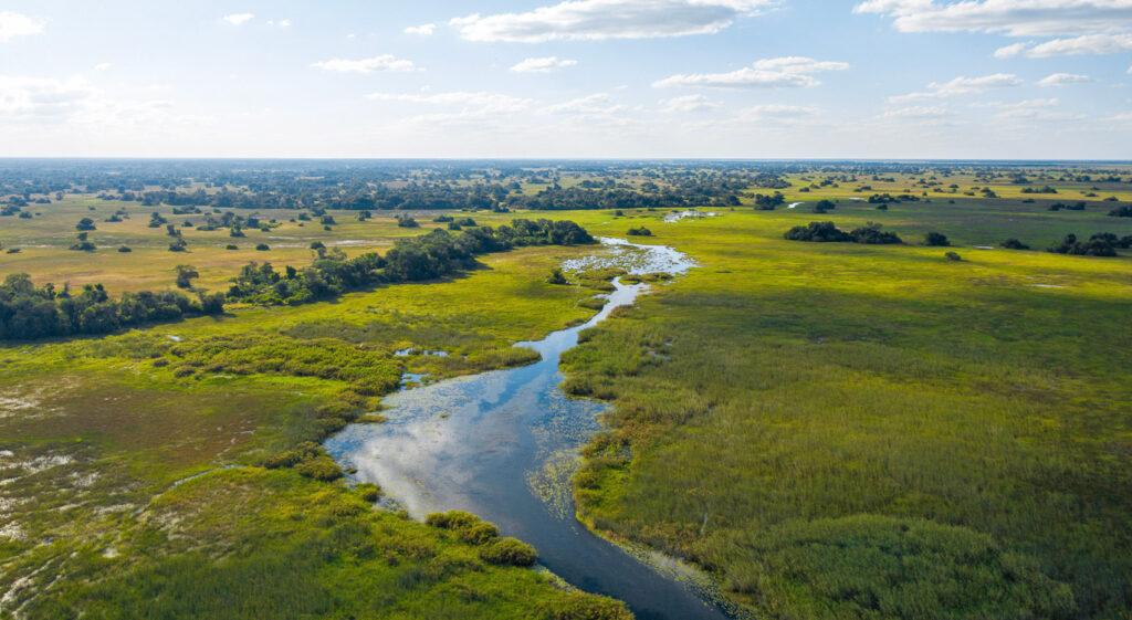 A an aerial picture of the green Okavango Delta in Botswana.