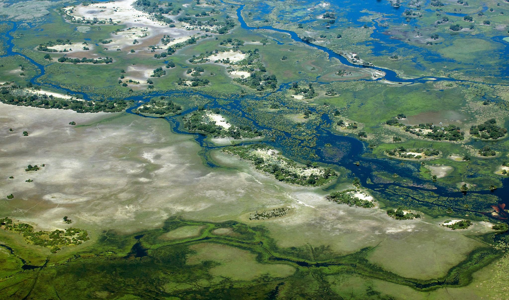 Eine Vogelperspektive auf das Okavango-Delta.